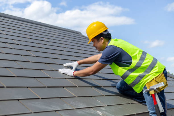 Roof Gutter Cleaning in Old Miakka, FL