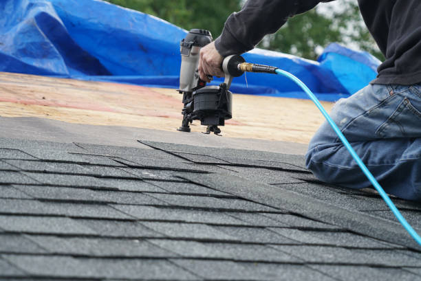 Best Metal Roofing Contractor  in Old Miakka, FL