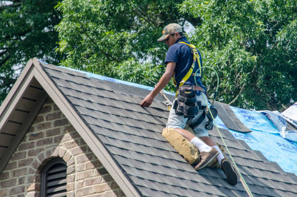 Gutter Installation and Roofing in Old Miakka, FL